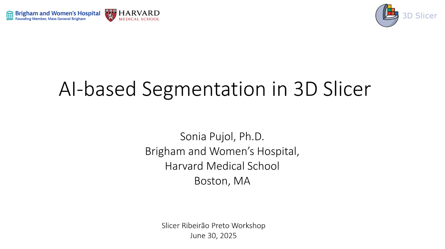 AI-Based Segmentation in 3D Slicer